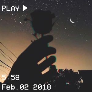 Meet your Posher, Edith